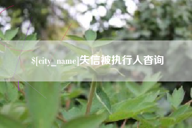 随县失信被执行人杳询