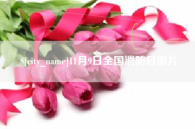 随县11月9日全国消防日图片