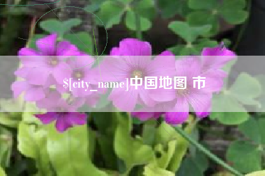 随县中国地图 市