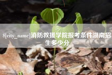 随县消防救援学院报考条件湖南招生多少分