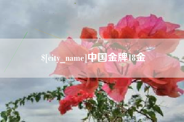 随县中国金牌18金