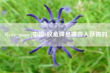 随县中国6枚金牌是哪些人获得的