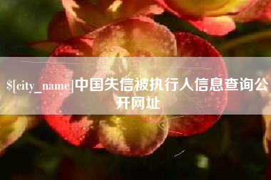 随县中国失信被执行人信息查询公开网址