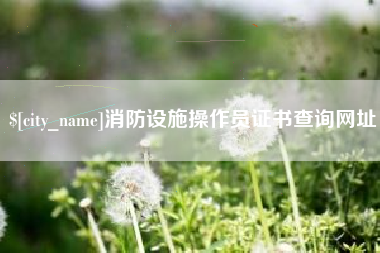 随县消防设施操作员证书查询网址