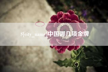 随县中国哪几项金牌