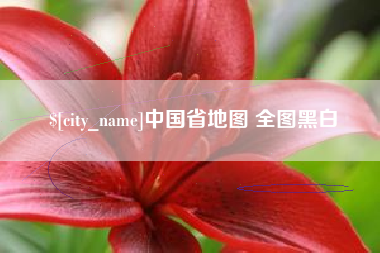 随县中国省地图 全图黑白