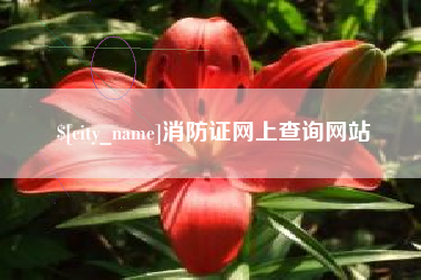 随县消防证网上查询网站