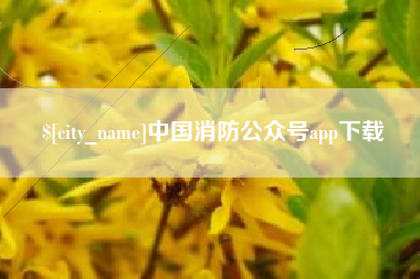 随县中国消防公众号app下载