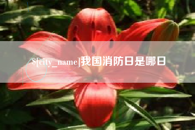 随县我国消防日是哪日