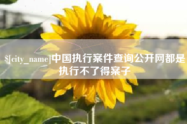 随县中国执行案件查询公开网都是执行不了得案子