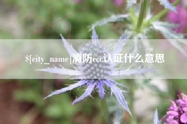 随县消防ccc认证什么意思