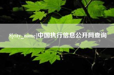 随县中国执行信息公开网查询