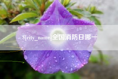 随县全国消防日哪一