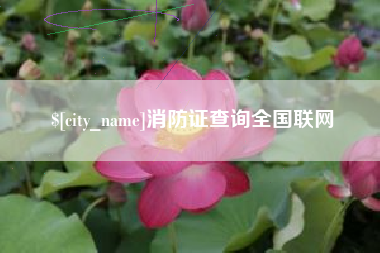 随县消防证查询全国联网