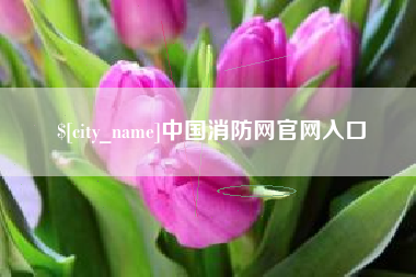 随县中国消防网官网入口