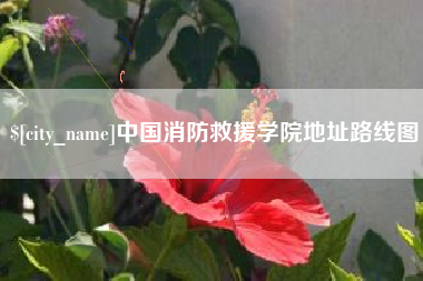 随县中国消防救援学院地址路线图