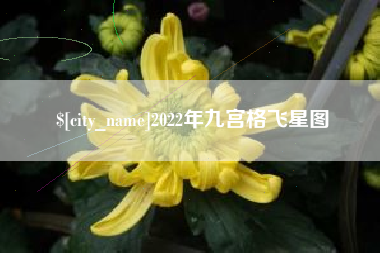 随县2022年九宫格飞星图