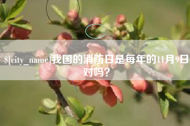 随县我国的消防日是每年的11月9日对吗？