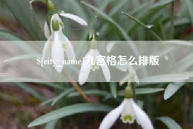 随县九宫格怎么排版