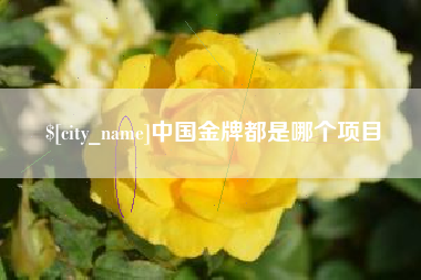 随县中国金牌都是哪个项目