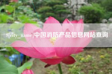 随县中国消防产品信息网站查询