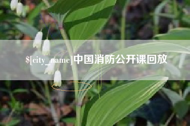 随县中国消防公开课回放