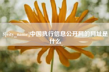 随县中国执行信息公开网的网址是什么