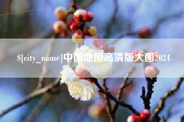 随县中国地图高清版大图2024