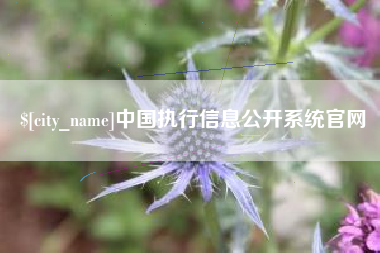 随县中国执行信息公开系统官网