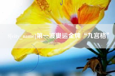 随县第一波奥运金牌“九宫格”