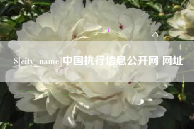随县中国执行信息公开网 网址