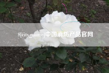 随县中国消防产品官网