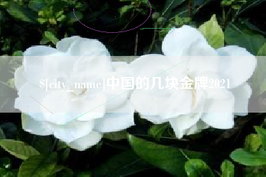 随县中国的几块金牌2021