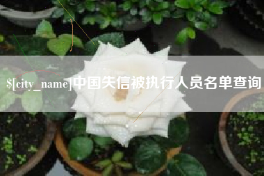 随县中国失信被执行人员名单查询