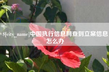 随县中国执行信息网查到立案信息怎么办