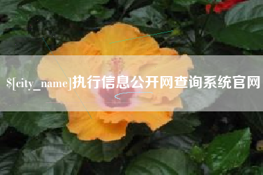 随县执行信息公开网查询系统官网