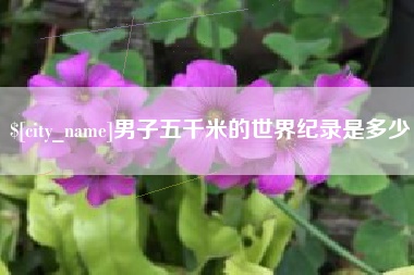 随县男子五千米的世界纪录是多少