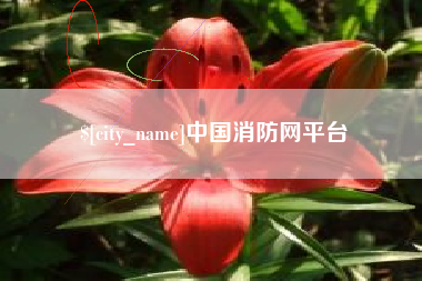 随县中国消防网平台