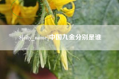 随县中国九金分别是谁