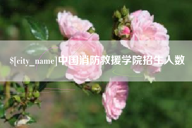 随县中国消防救援学院招生人数