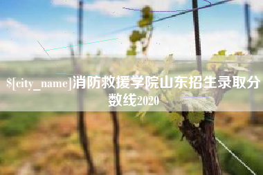 随县消防救援学院山东招生录取分数线2020
