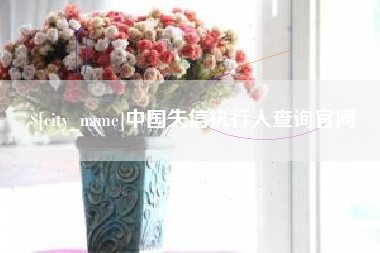 随县中国失信执行人查询官网