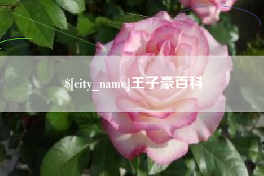 随县王子豪百科