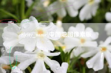 随县中国地图像素版