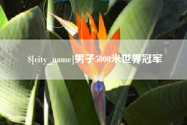 随县男子5000米世界冠军
