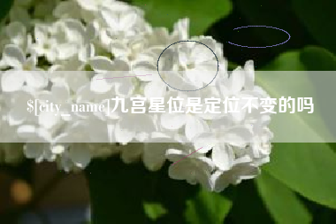 随县九宫星位是定位不变的吗