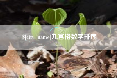 随县九宫格数字排序