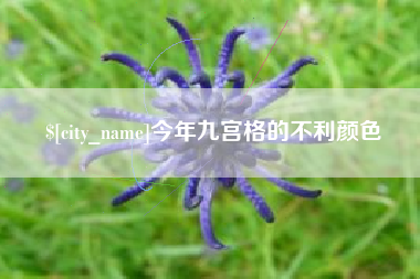 随县今年九宫格的不利颜色
