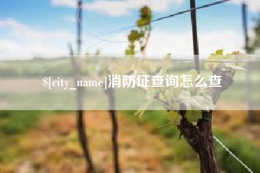 随县消防证查询怎么查