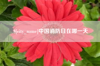 随县中国消防日在哪一天